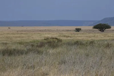 DSC_3921 (Large).JPG